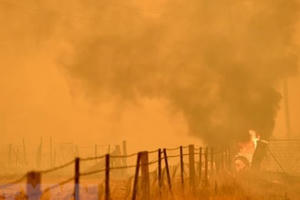 Tần suất cháy rừng thảm khốc ở Australia có chiều hướng gia tăng