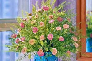 Chinh phục loài hoa đồng tiền 'đỏng đảnh' khó tạo hình bậc nhất