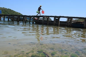 Triển lãm nghệ thuật “Ấn tượng miền Trung”