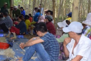 Tin nhanh ngày 31/5: Triệt phá tụ điểm đánh bạc giữa rừng Tin nhanh ngày 31/5: Triệt phá tụ điểm đánh bạc giữa rừng