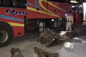 Quảng Nam: Xe khách chở hơn 800 kg gỗ, nghi gỗ trắc không rõ nguồn gốc