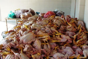 Hà Tĩnh: Tiêu hủy gần 1,5 tấn “thịt bẩn”