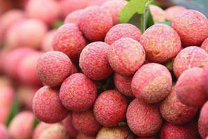 Vải thiều ở Trung Quốc đang bán giá 104 nghìn đồng/1kg