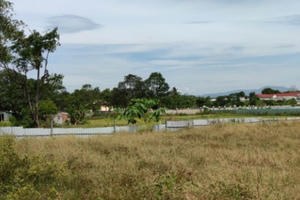 Kim Tơ Group chào bán rầm rộ biệt thự “xây chui"