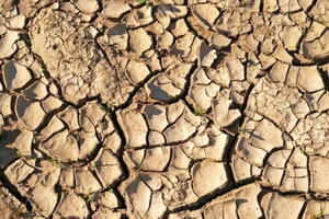 Công bố tình huống khẩn cấp do hạn hán tại Bình Thuận