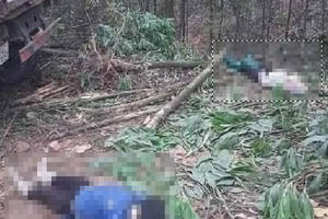 Quảng Ninh: Xe tải chở gỗ cán hai người phụ nữ tử vong trong rừng