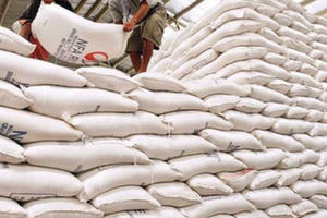 Tạm đình chỉ công tác 7 Cục trưởng liên quan đến dự trữ gạo quốc gia Tạm đình chỉ công tác 7 Cục trưởng liên quan đến dự trữ gạo quốc gia