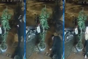 Sử dụng súng săn gây chết người bị xử lý như thế nào?