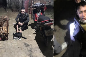 Quảng Bình: Khởi tố 2 đối tượng trộm chó Quảng Bình: Khởi tố 2 đối tượng trộm chó