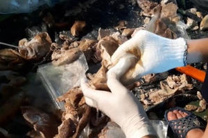 Bí ẩn khối lượng khủng "cái chết trắng" trong gần 1 tạ dạ dày lợn ép chân không