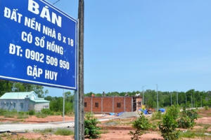 Đột nhập "tâm bão" sốt đất Phú Quốc: Run rẩy với “bom đất"