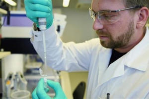 Hy vọng vẫn le lói