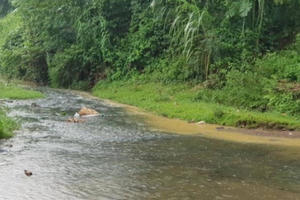 Nóng: Phát hiện suối đầu nguồn gần nhà máy nước sạch Sông Đà có hiện tượng dầu loang đã qua sử dụng