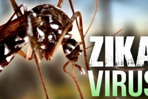 Bộ Y tế họp khẩn về virut Zika Bộ Y tế họp khẩn về virut Zika