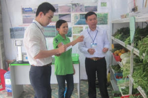 Nỗi lo mất an toàn thực phẩm nông, lâm, thủy sản ở Quảng Ngãi