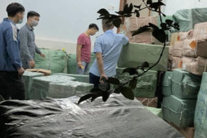 Phát hiện hàng chục nghìn sản phẩm không rõ nguồn gốc tại kho hàng Bưu cục Móng Cái Phát hiện hàng chục nghìn sản phẩm không rõ nguồn gốc tại kho hàng Bưu cục Móng Cái