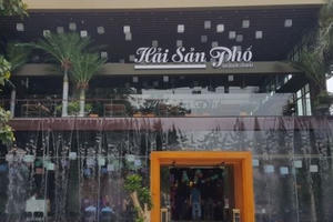 Xử lý nghiêm vi phạm cho thuê đất mương thoát nước tại Hà Nội