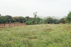 Bỏ 1 tỷ mua đất Hà Nội: Sau 10 năm mất hết vốn lại còn mang nợ