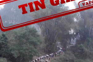 Tin giả về nạn vận chuyển hàng lậu qua cửa khẩu Móng Cái, Quảng Ninh Tin giả về nạn vận chuyển hàng lậu qua cửa khẩu Móng Cái, Quảng Ninh