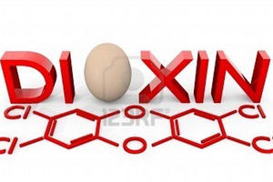 Xây dựng Trung tâm hỗ trợ điều trị nhiễm chất độc hóa học