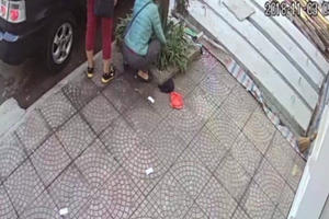 Clip - 3 mỹ nhân đi xe Range Rover thản nhiên trộm chậu cây cảnh gần chợ Ninh Hiệp?