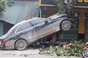 Xế sang “trèo” cây, tài xế nhập viện