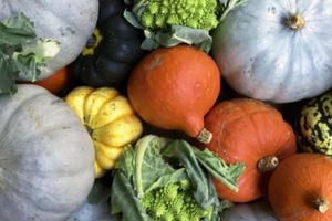 Điểm danh các thực phẩm kiểm soát bệnh tiểu đường tốt nhất Điểm danh các thực phẩm kiểm soát bệnh tiểu đường tốt nhất