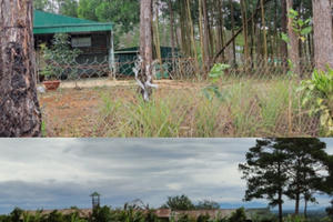 Hàng trăm héc ta rừng ở huyện Bảo Lâm đang dần biến thành của cá nhân