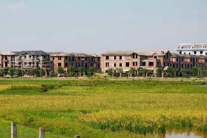 Thông tin đánh thuế người có 2,3 nhà là không chính xác!