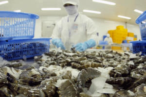 Hàn Quốc: Thị trường tiềm năng cho xuất khẩu tôm Việt