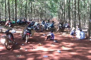 Bình Phước: Triệt phát sới gà trong rừng cao su, tạm giữ 20 đối tượng