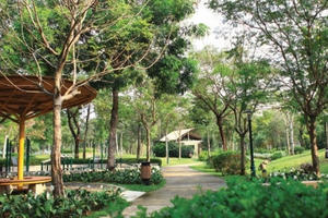 Triết lý đằng sau công trình kiến tạo mảng xanh của Celadon City