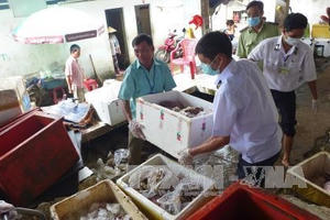 Phát hiện hơn 600 kg thực phẩm bẩn trong khu chợ lớn nhất tỉnh Bình Phước