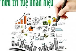 Xử lý đơn đăng ký xác lập quyền sở hữu công nghiệp tăng 6,3%