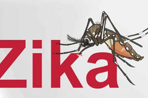 TP HCM ghi nhận 52 ca nhiễm virus Zika