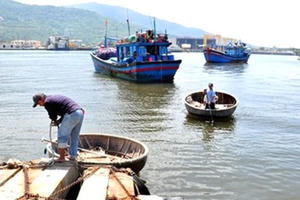 Đà Nẵng: Dừng xây dựng tuyến luồng Thọ Quang