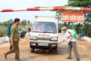 Doanh nghiệp hiến kế chống dịch tả lợn châu Phi
