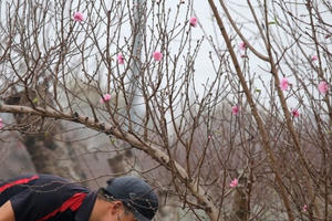 Chốt đề xuất lịch nghỉ Tết Nguyên đán Nhâm Dần năm 2022