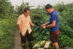 Thầy giáo Hà Nội bán hết ruộng ngô ủng hộ Bắc Giang chống dịch