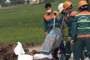 Hải Dương: Tiêu hủy hơn 70 tấn nội tạng bốc mùi trị giá hơn 1 tỷ đồng