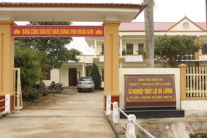 Nghệ An: Giám đốc thông đồng nhân viên, lập khống hồ sơ gây thiệt hại 3,5 tỷ đồng