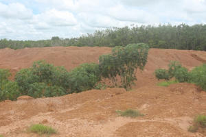 Một hộ dân ở Tây Ninh "lao đao" vì chủ trương của chính quyền thay đổi?