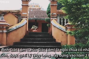 Ngôi chùa 113 pho tượng cổ nhất Sài Gòn