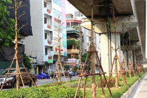 Trồng cây dưới gầm đường sắt trên cao: Chuyên gia nói gì?