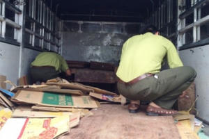 Thanh Hóa: Bắt xe nghi chở gỗ lậu mang ra Hà Nội tiêu thụ