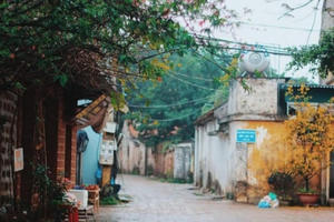 Bảo tồn làng cổ, nhà cổ để tài nguyên không 'chết dần'