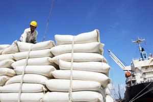 EU áp dụng hạn ngạch mới đối với 80.000 tấn gạo Việt Nam xuất khẩu từ năm 2022 EU áp dụng hạn ngạch mới đối với 80.000 tấn gạo Việt Nam xuất khẩu từ năm 2022