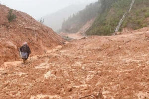 Quảng Trị: Đi tìm 7 người dân mất tích, chủ tịch và công an xã gặp nạn vì lở đất