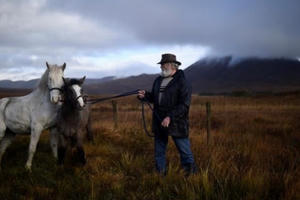 Phiên chợ quê thường niên tại Ireland