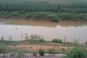 Thanh Hóa: Một học sinh tiểu học tử vong do đuối nước khi tắm sông Thanh Hóa: Một học sinh tiểu học tử vong do đuối nước khi tắm sông